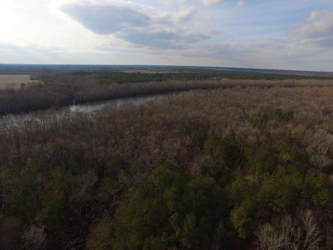 80 Acres on Cape Fear River North Carolina Land for Sale